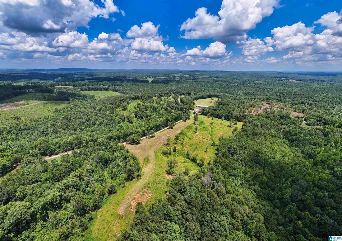 Land in Wedowee, Alabama, Vereinigte Staaten 5 - 18490950