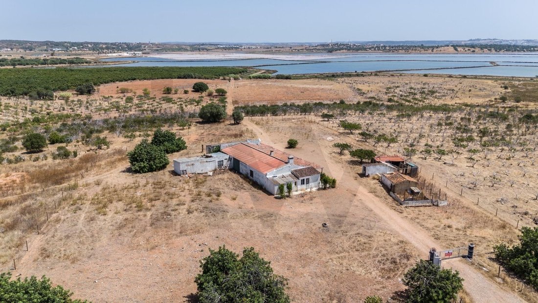 Farm Ranch in Ramalde, Porto District, Portugal 1 - 18490878