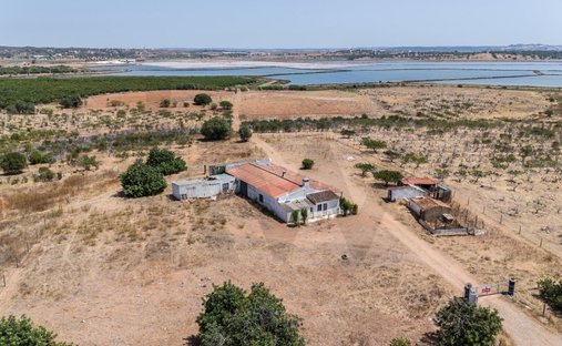 Azienda agricola a Ramalde, Oporto, Portogallo 1