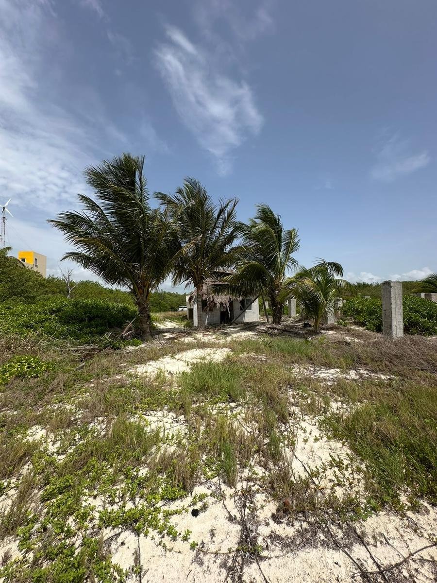 Land in Caracol, Quintana Roo, Mexico 3 - 18491205