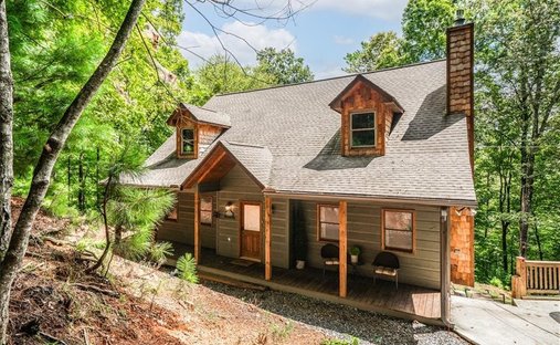 House in Ellijay, Georgia, United States 1