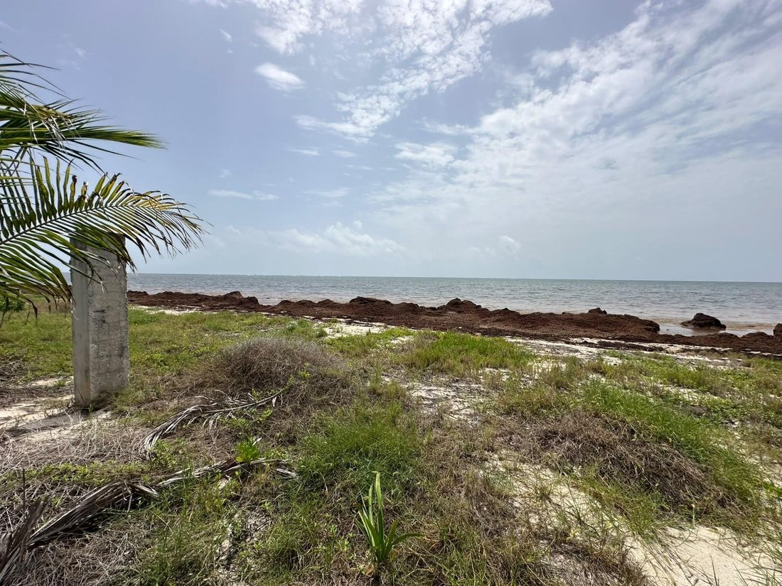 Land in Caracol, Quintana Roo, Mexico 5 - 18491205