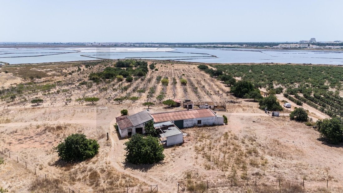 Farm Ranch in Ramalde, Porto District, Portugal 2 - 18490878