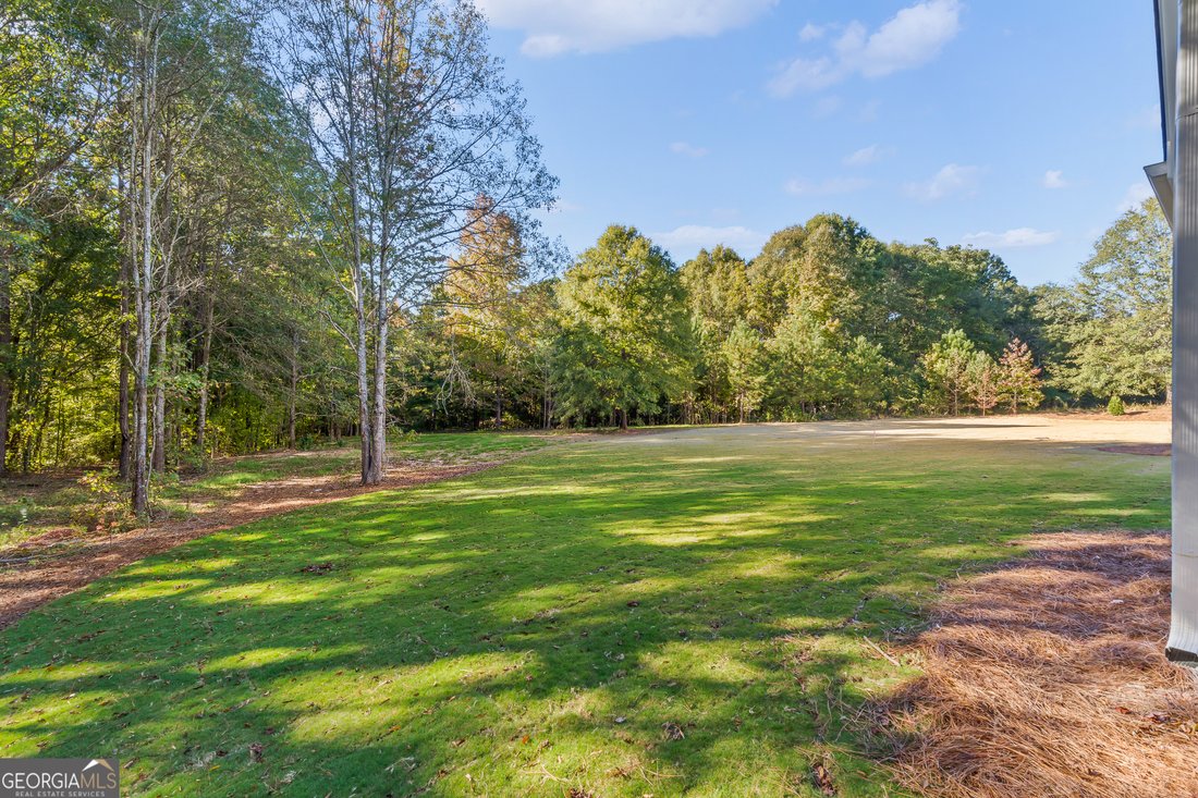 House in Tyrone, Georgia, United States 3 - 18490787