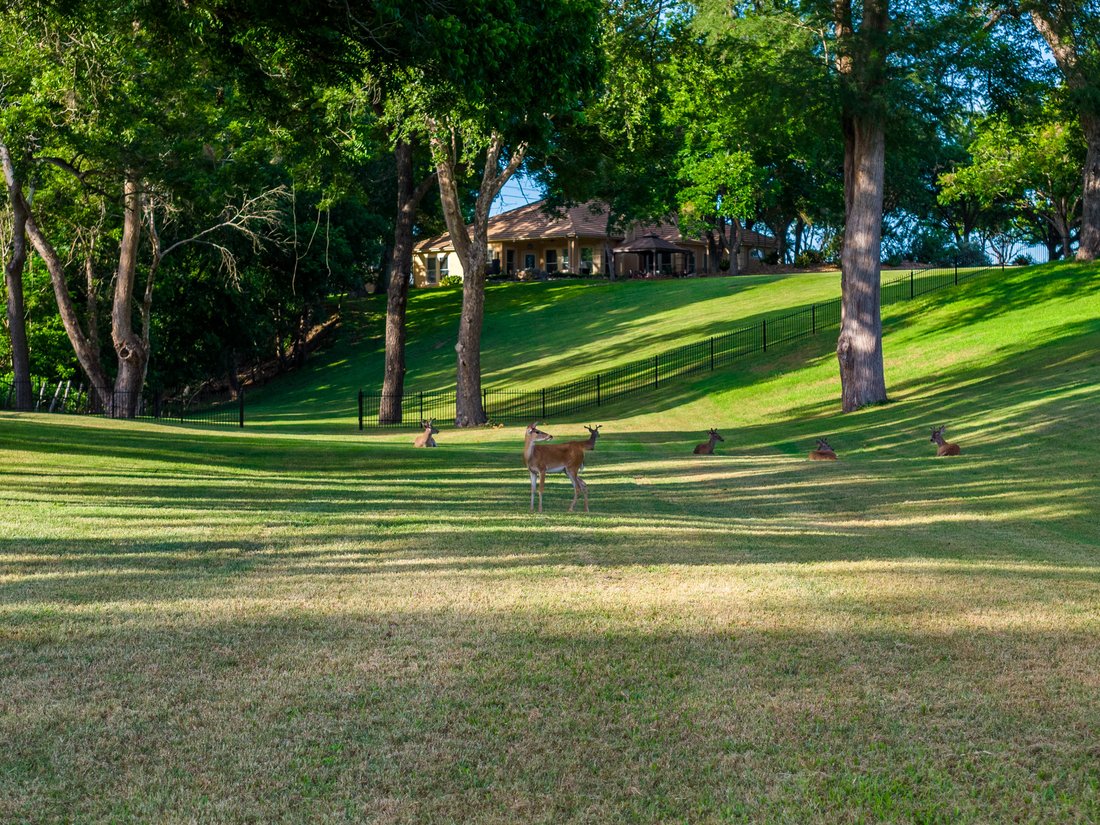 House in Seguin, Texas, United States 4 - 18491312
