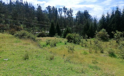 Terrain à Quito, Province de Pichincha, Équateur 1