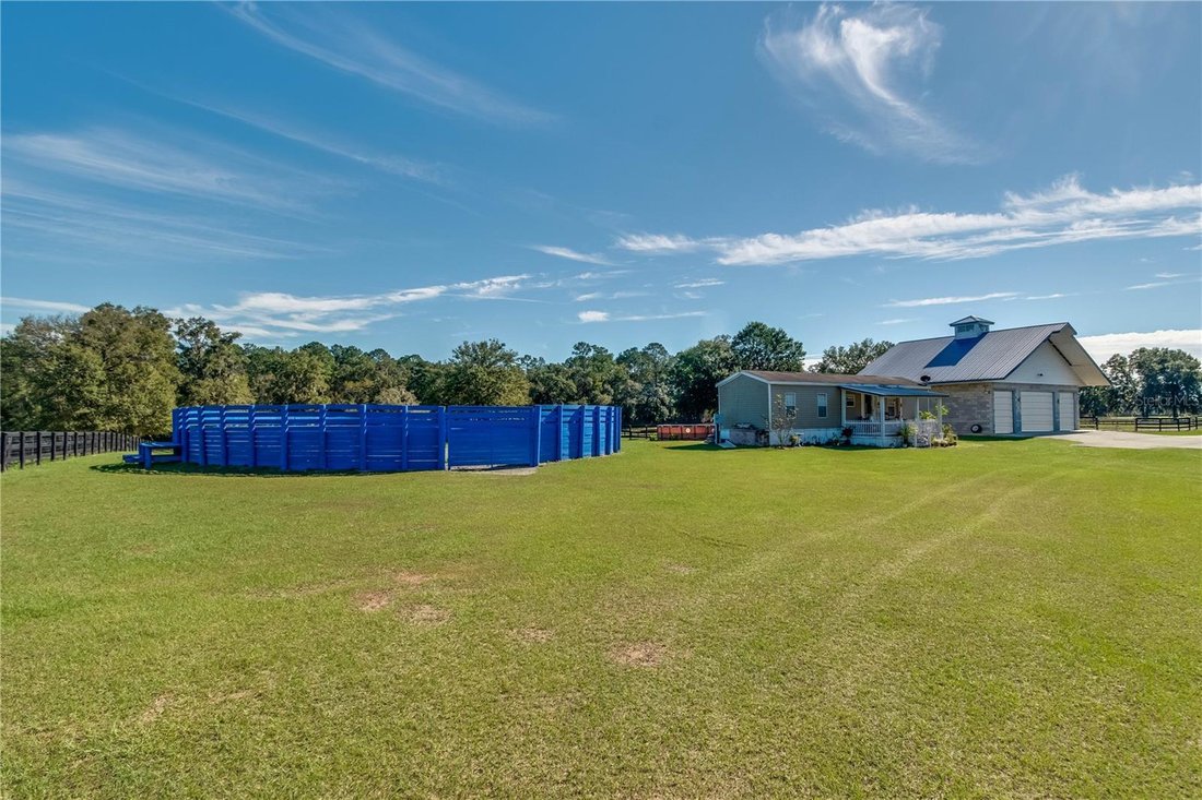 Farm Ranch in Morriston, Florida, United States 5 - 18490567