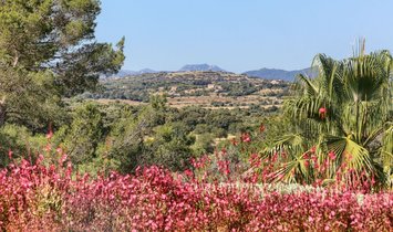 Finca a Sant Llorenç des Cardassar, Isole Baleari, Spagna 1
