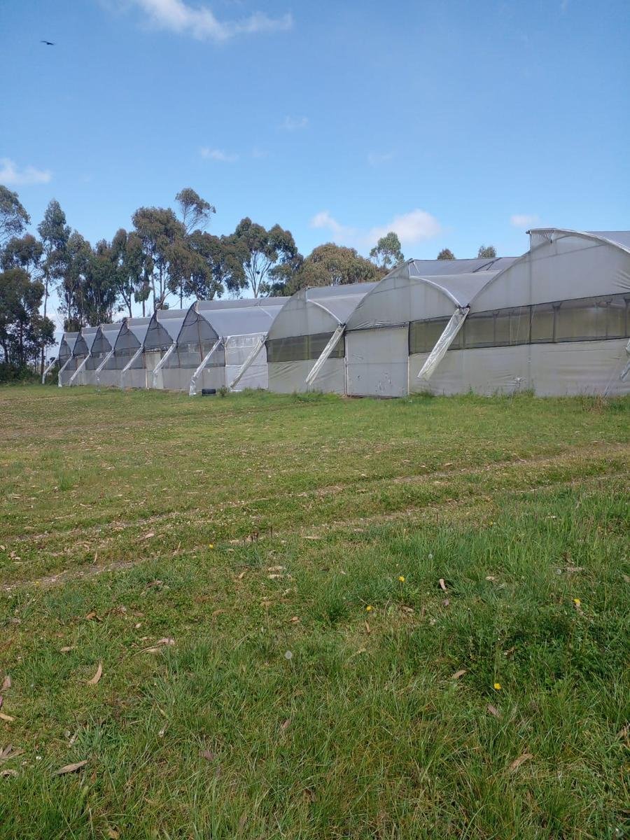 Farm Ranch in Ticatilín, Cotopaxi, Ecuador 3 - 18491384