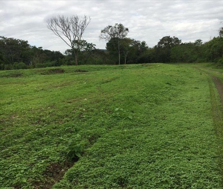 Land in Las Balsas, Santa Elena, Ecuador 4 - 18491298