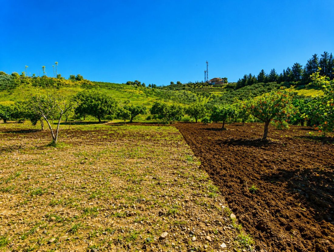 Finca in Estepona, Andalusia, Spain 4 - 18491593