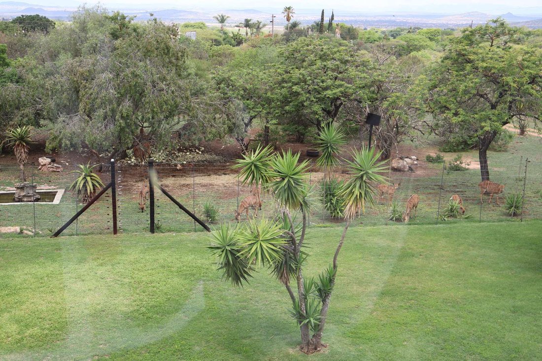 Farm Ranch in Braamfontein, Gauteng, South Africa 3 - 18491037