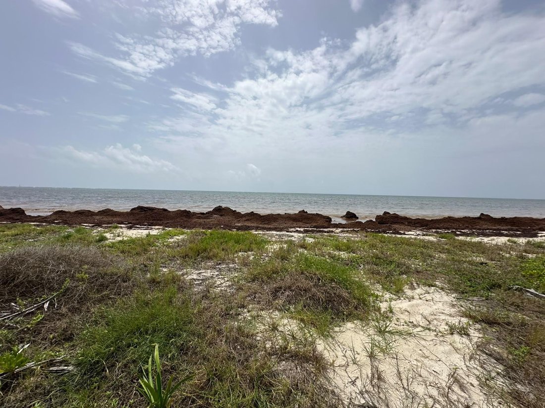 Land in Caracol, Quintana Roo, Mexico 4 - 18491205