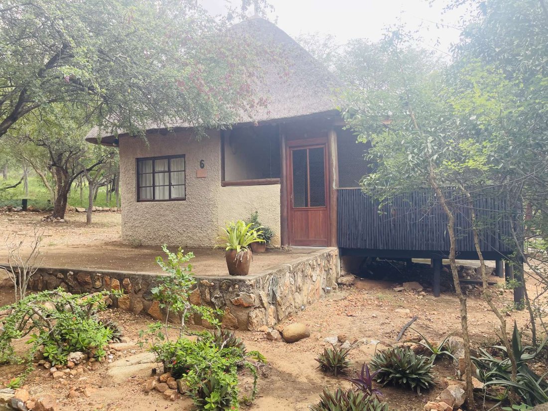 Farm Ranch in Johannesburg, Gauteng, South Africa 4 - 18491016
