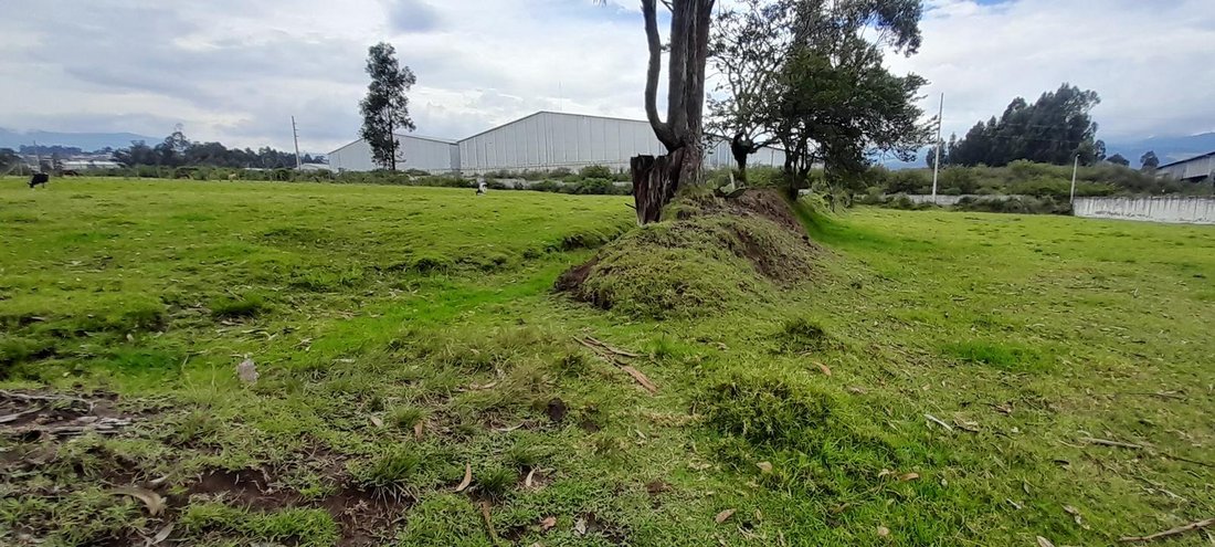 Land in Quito, Pichincha, Ecuador 5 - 18491279