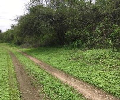Land in Las Balsas, Santa Elena, Ecuador 3 - 18491298