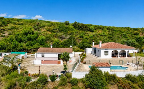 Finca in Estepona, Andalusia, Spain 1