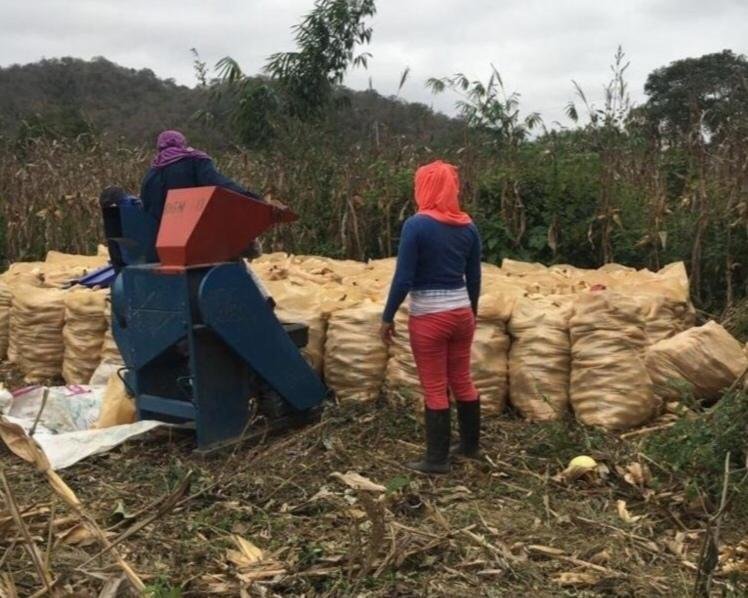 Land in Las Balsas, Santa Elena, Ecuador 2 - 18491298