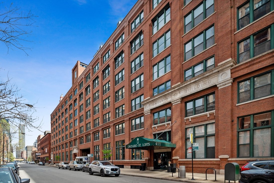 Condo in Chicago, Illinois, United States 1 - 18491048