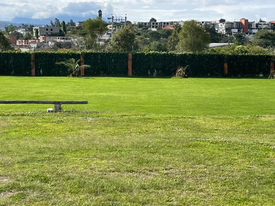 Land in Quito, Pichincha, Ecuador 1 - 18491273