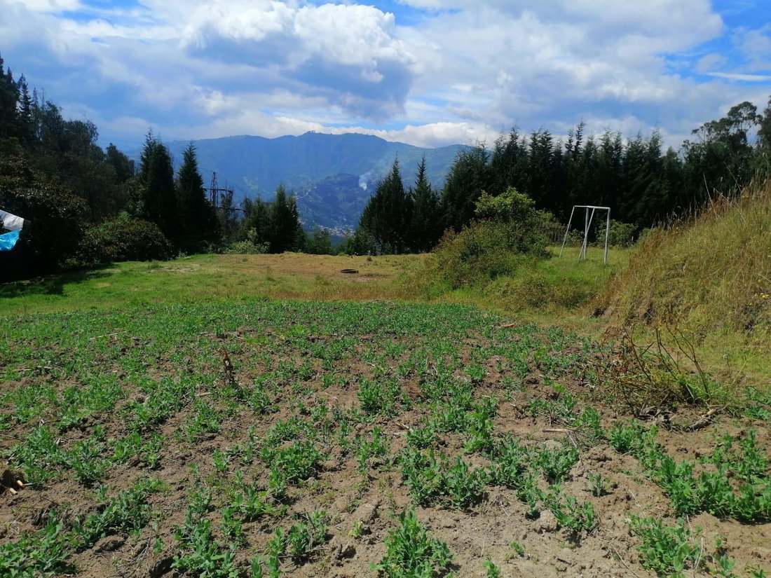 Terreno a Quito, Provincia del Pichincha, Ecuador 4 - 18491192