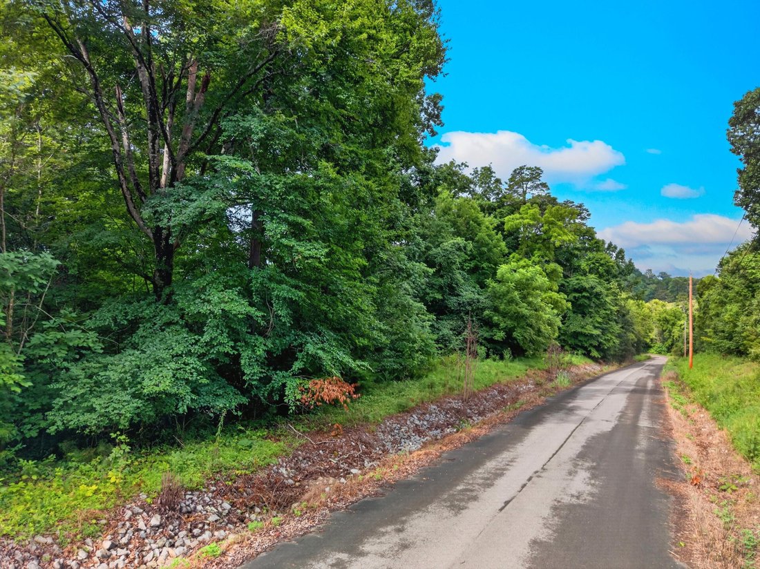 Farm Ranch in New Market, Tennessee, United States 5 - 18490895