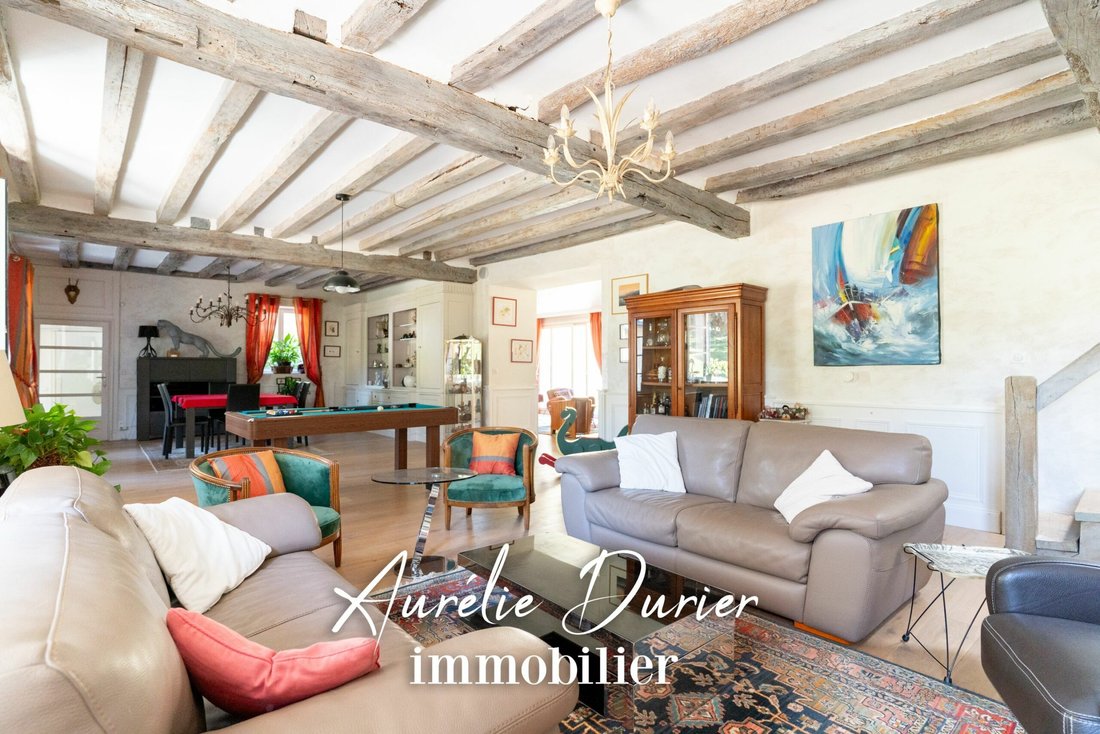 Estate in Poce-sur-Cisse, Centre-Val de Loire, France 4 - 18490805