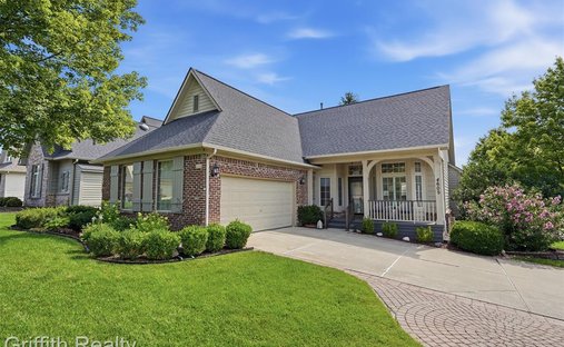 House in Township of Hamburg, Michigan, United States 1