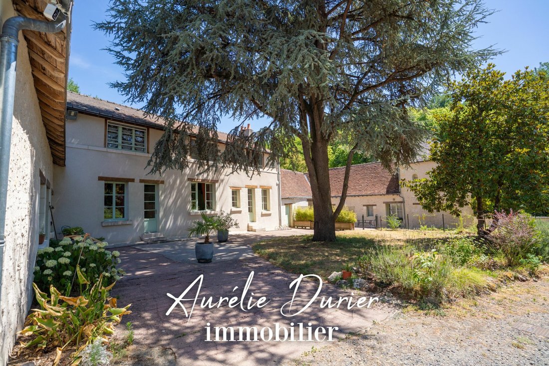 Estate in Poce-sur-Cisse, Centre-Val de Loire, France 1 - 18490805