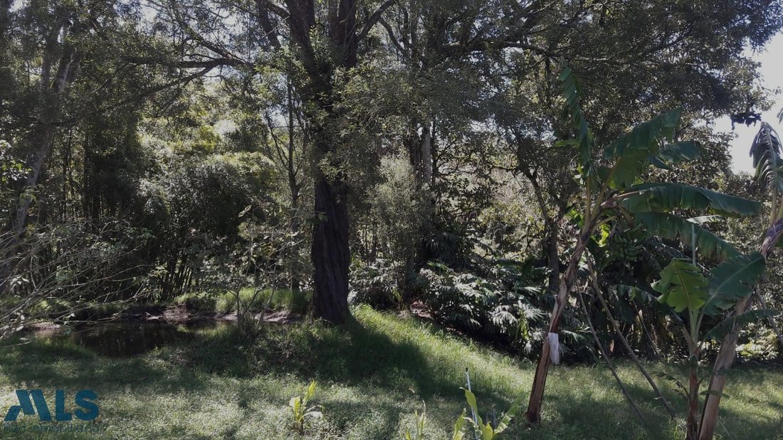 Land in Don Diego, Antioquia, Colombia 4 - 18491378