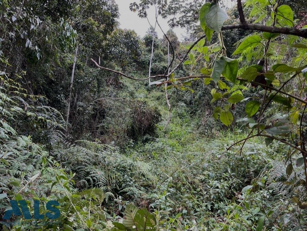 Land in Don Diego, Antioquia, Colombia 2 - 18491378