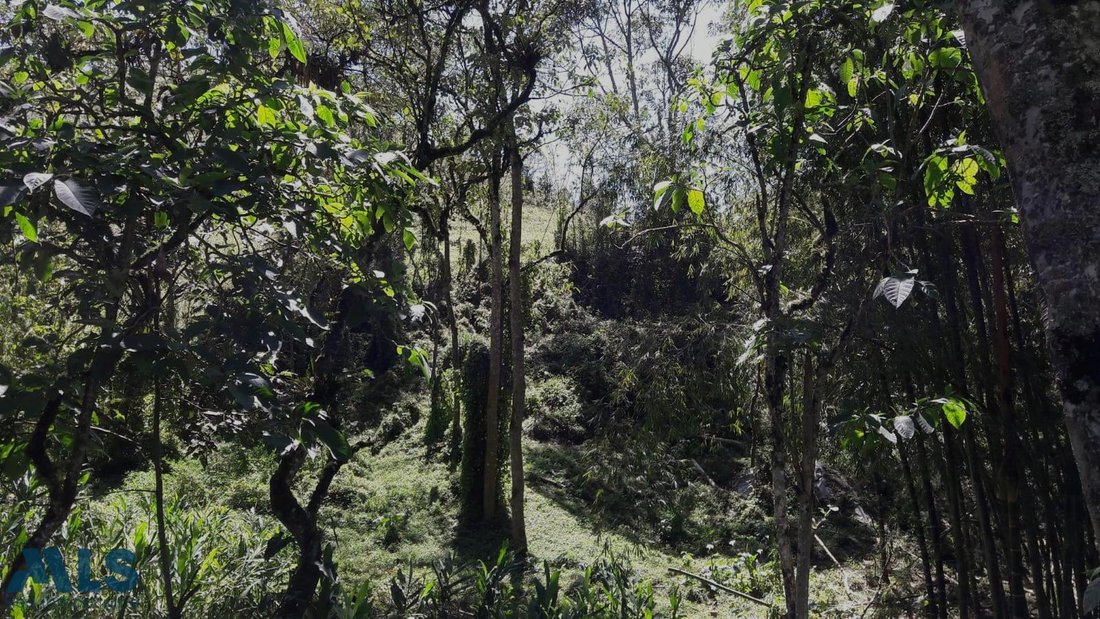 Land in Don Diego, Antioquia, Colombia 3 - 18491378