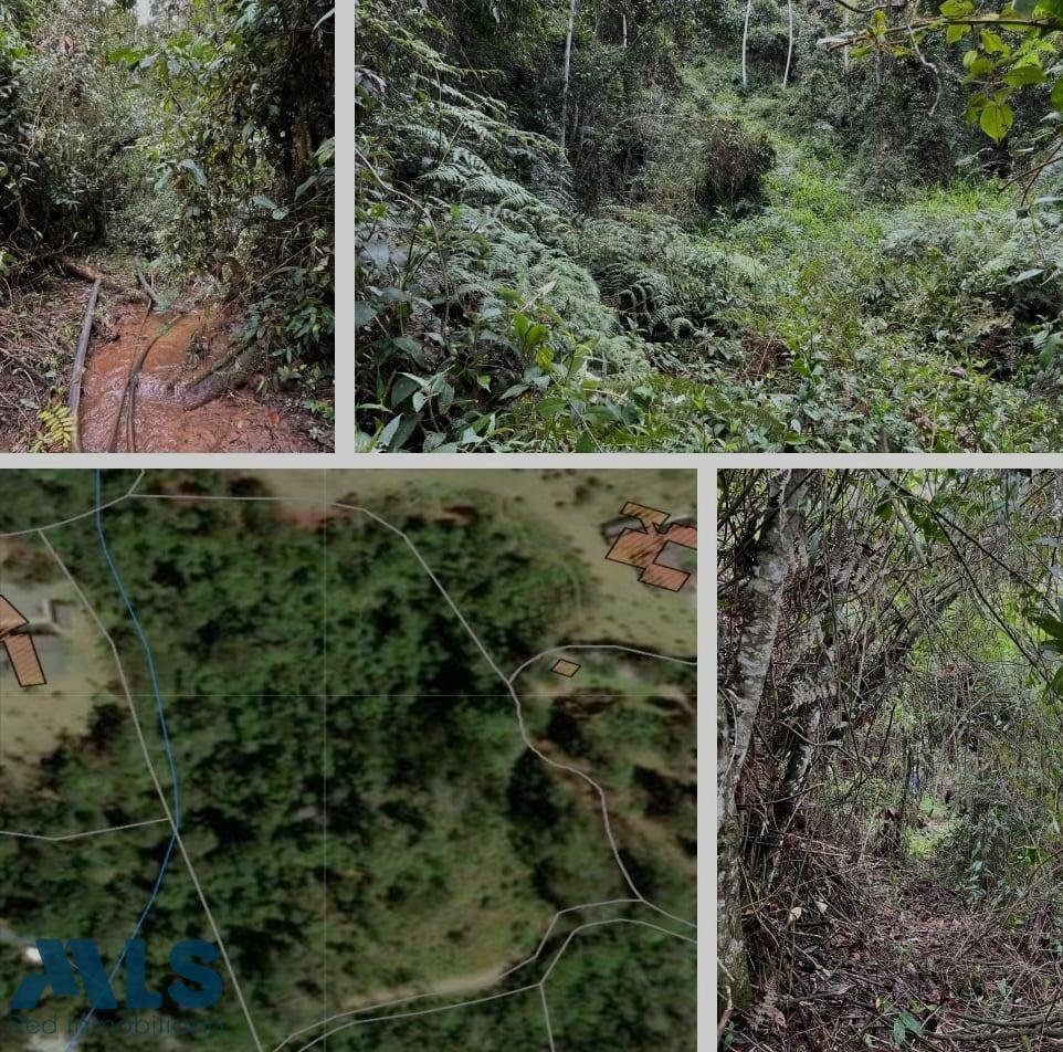 Land in Don Diego, Antioquia, Colombia 1 - 18491378