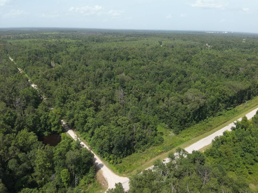 House in Delhi, Louisiana, United States 4 - 18489717