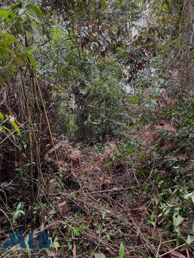 Land in Don Diego, Antioquia, Colombia 5 - 18491378