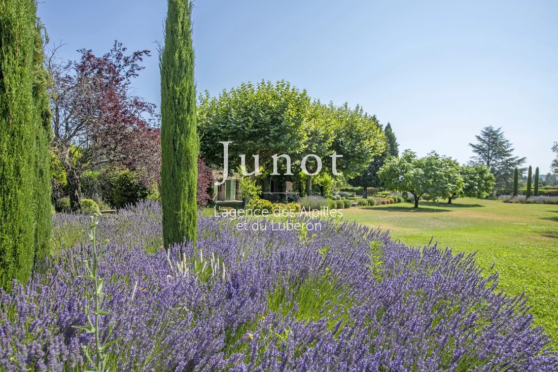 Country House in Eygalières, Provence-Alpes-Côte d'Azur, France 5 - 18405203