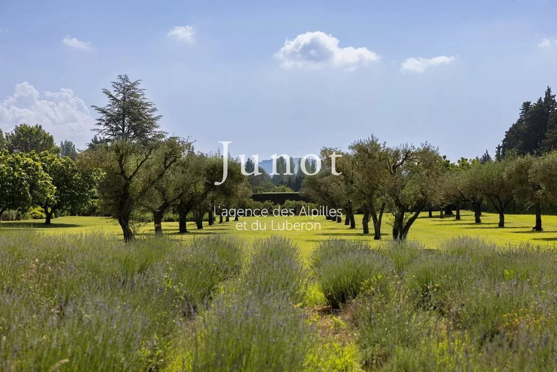 Country House in Eygalières, Provence-Alpes-Côte d'Azur, France 3 - 18405203