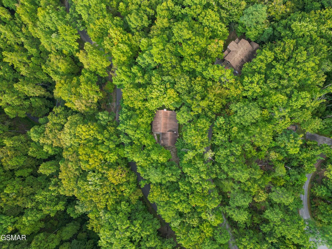 House in Gatlinburg, Tennessee, United States 4 - 18493765