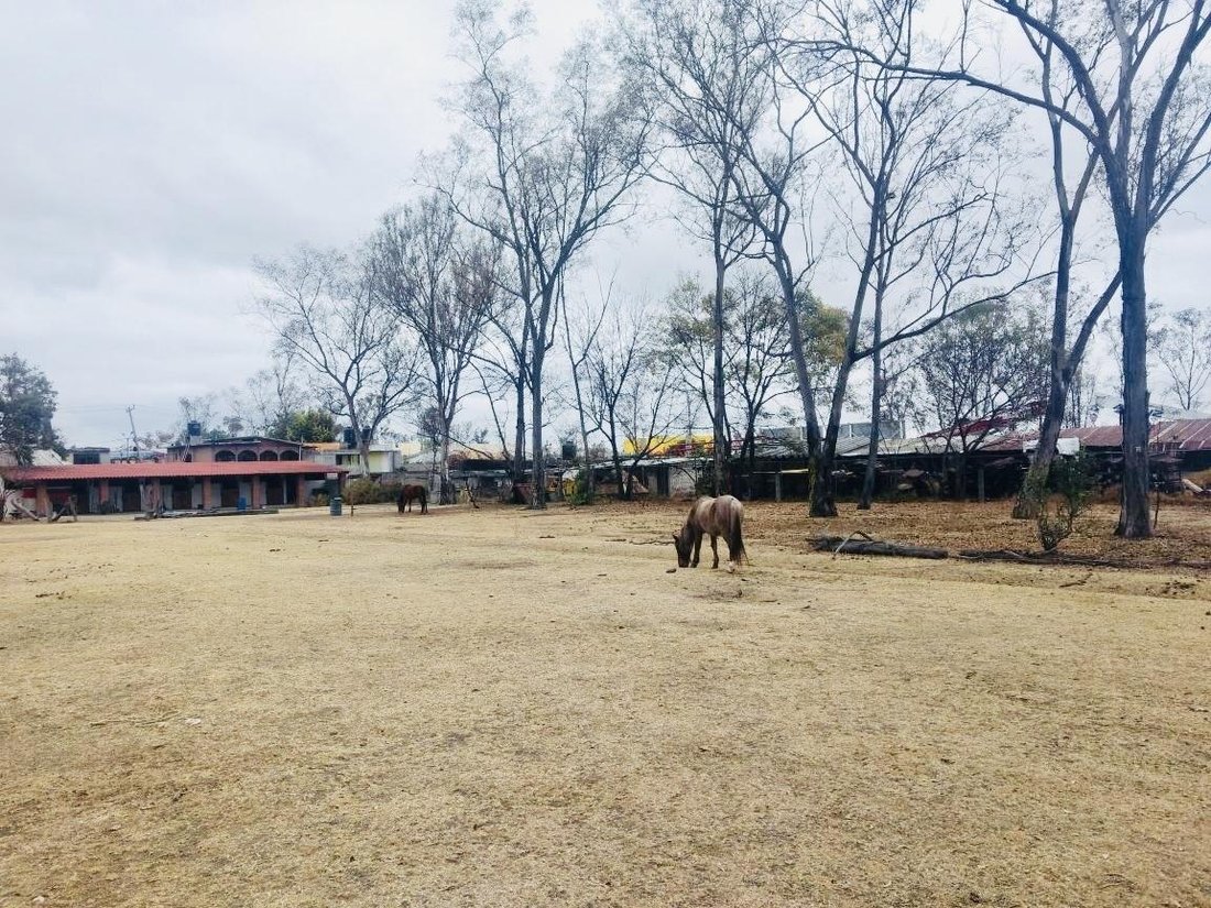 Terrain à Cuautitlán Izcalli, État de Mexico, Mexique 1 - 18492384