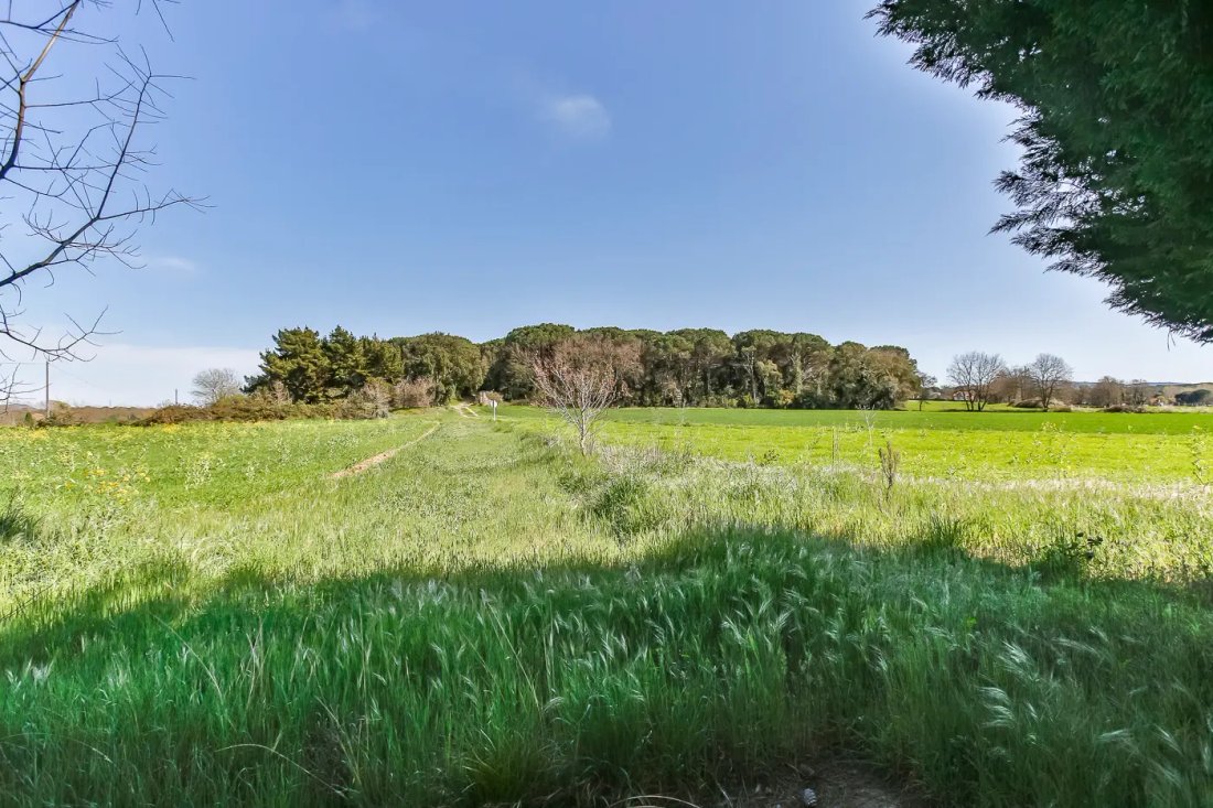 Finca in Llagostera, Catalonia, Spain 2 - 18493496