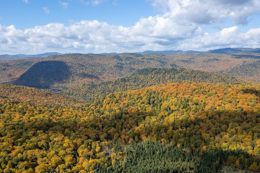 Land in Stoneham-et-Tewkesbury, Quebec, Canada 4 - 15484380