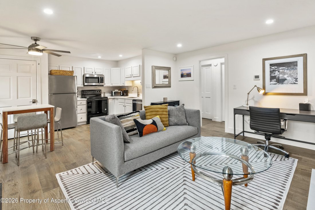 Condo in Aspen, Colorado, United States 2 - 18493991