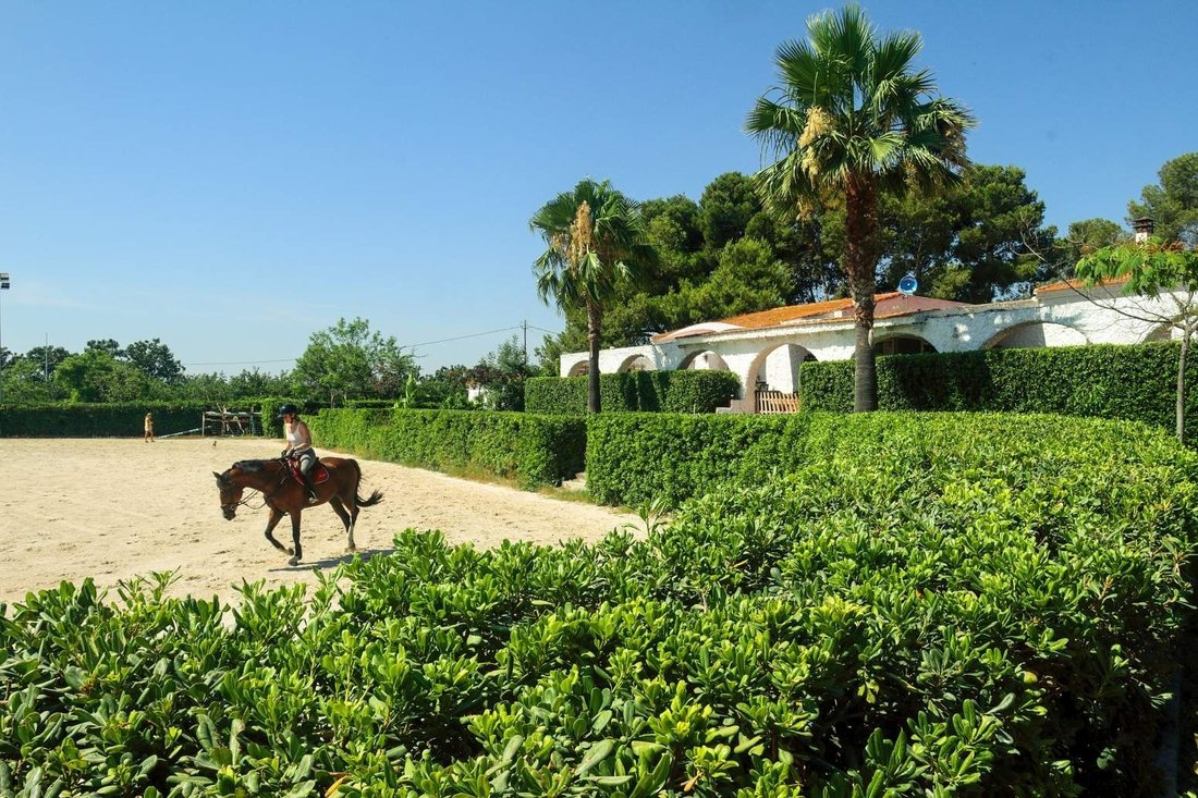 Farm Ranch in la Pobla de Vallbona, Valencian Community, Spain 2 - 18495161