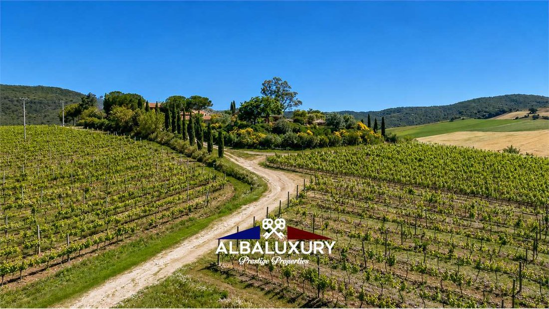 Villa in Magliano in Toscana, Tuscany, Italy 5 - 15347323