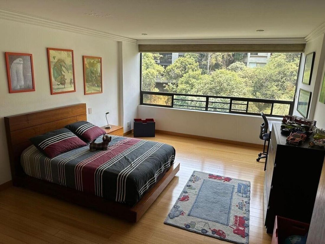 Apartment in Mexico City, Mexico 4 - 18492756