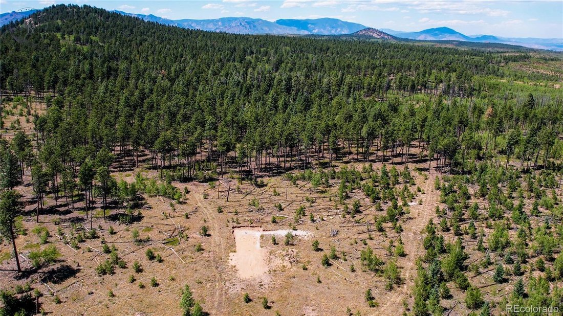 Land in Lake George, Colorado, United States 3 - 18494951