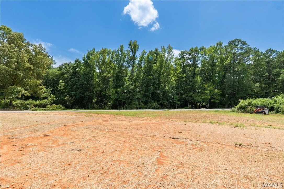 House in Northport, Alabama, United States 3 - 18494910