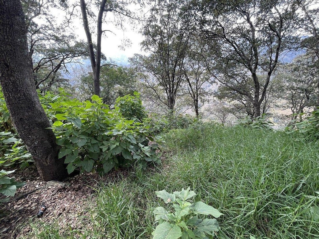 Land in Mexico City, Mexico 2 - 18492761