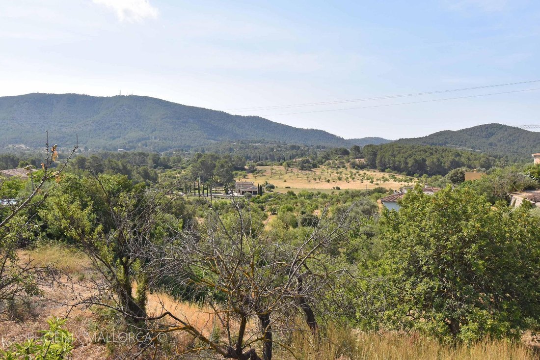 Terreno a Calvià, Isole Baleari, Spagna 5 - 17773259