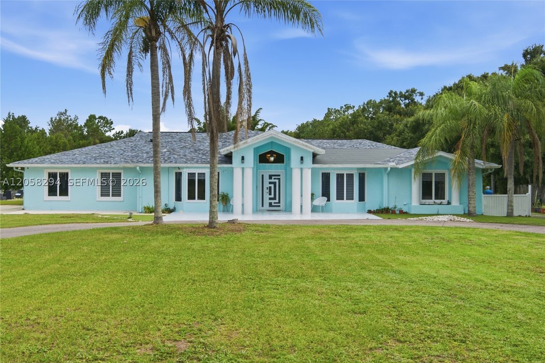 House in Land O' Lakes, Florida, United States 1 - 18493491